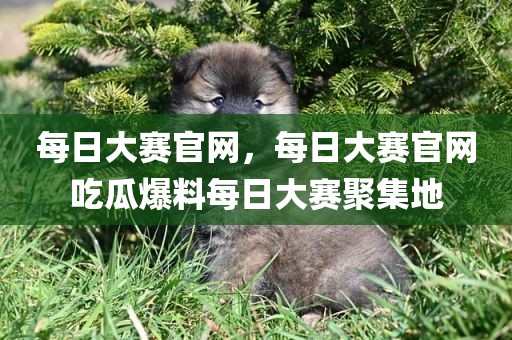 每日大赛官网，每日大赛官网吃瓜爆料每日大赛聚集地