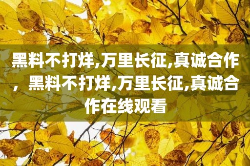黑料不打烊,万里长征,真诚合作，黑料不打烊,万里长征,真诚合作在线观看