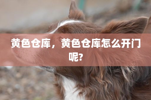 黄色仓库，黄色仓库怎么开门呢?