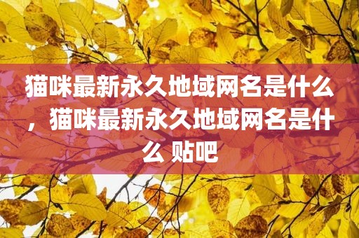 猫咪最新永久地域网名是什么，猫咪最新永久地域网名是什么 贴吧