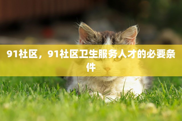 91社区，91社区卫生服务人才的必要条件