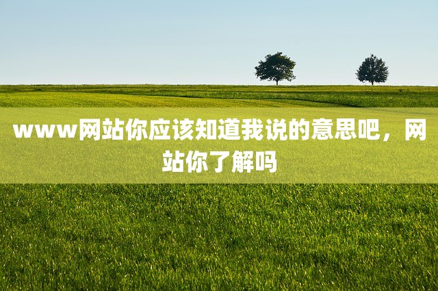 www网站你应该知道我说的意思吧，网站你了解吗