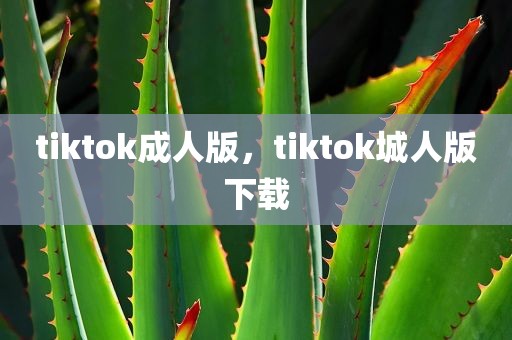 tiktok成人版，tiktok城人版下载