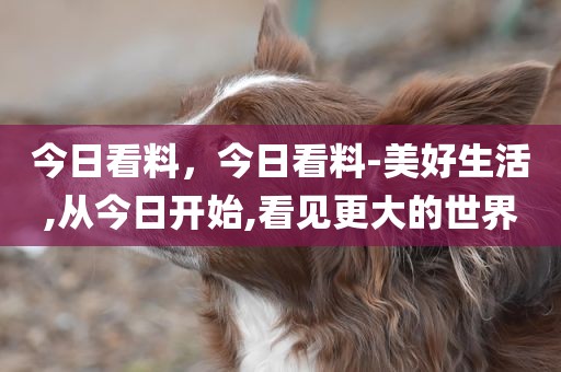 今日看料，今日看料-美好生活,从今日开始,看见更大的世界