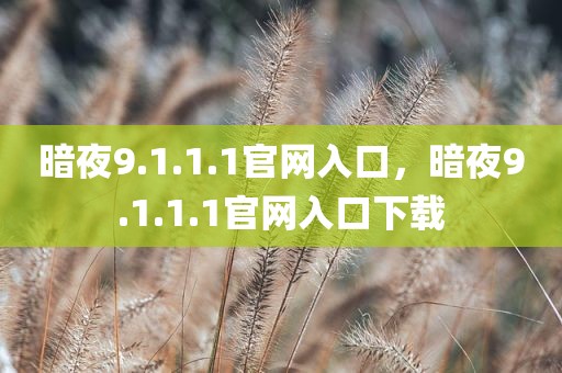 暗夜9.1.1.1官网入口，暗夜9.1.1.1官网入口下载