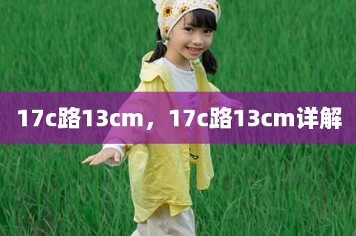 17c路13cm，17c路13cm详解