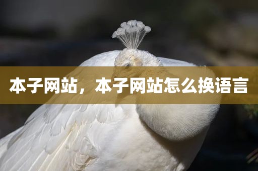 本子网站，本子网站怎么换语言