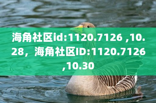 海角社区id:1120.7126 ,10.28，海角社区ID:1120.7126,10.30