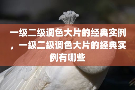 一级二级调色大片的经典实例，一级二级调色大片的经典实例有哪些