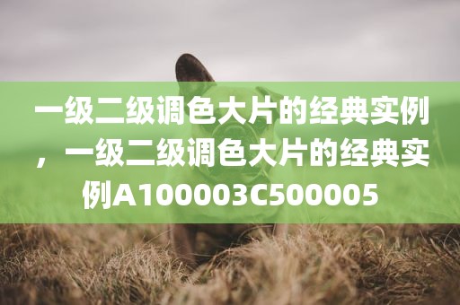 一级二级调色大片的经典实例，一级二级调色大片的经典实例A100003C500005