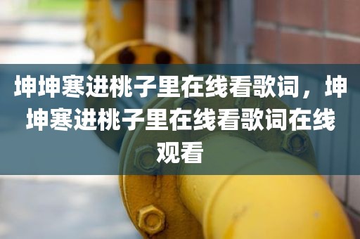 坤坤寒进桃子里在线看歌词，坤坤寒进桃子里在线看歌词在线观看