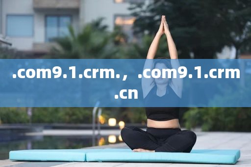 .com9.1.crm.，.com9.1.crm.cn