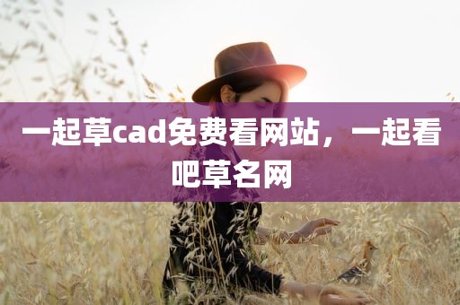 一起草cad免费看网站，一起看吧草名网