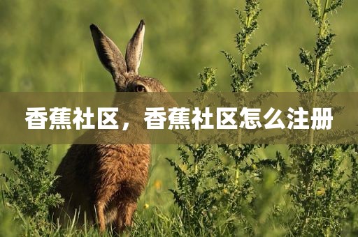 香蕉社区，香蕉社区怎么注册