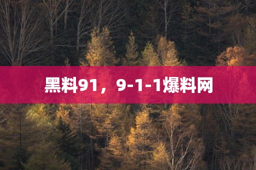 黑料91，9-1-1爆料网