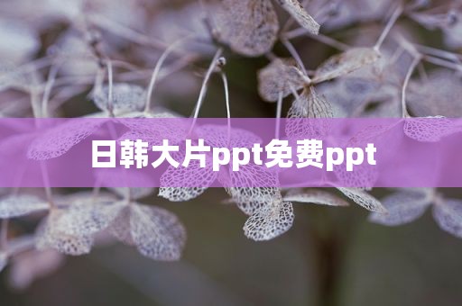 日韩大片ppt免费ppt