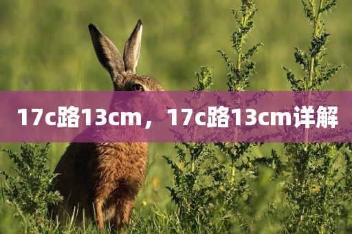 17c路13cm，17c路13cm详解