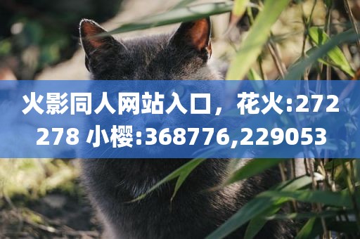 火影同人网站入口，花火:272278 小樱:368776,229053
