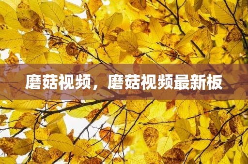 磨菇视频，磨菇视频最新板