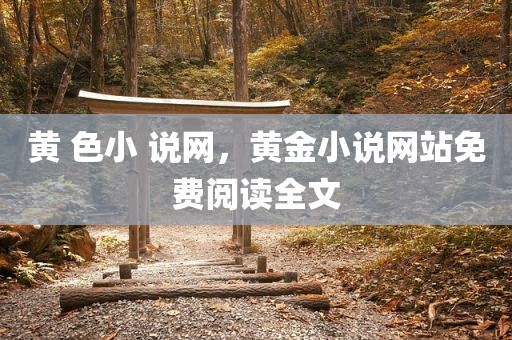 黄 色小 说网，黄金小说网站免费阅读全文