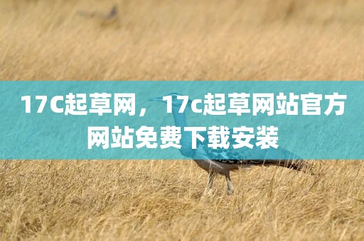 17C起草网，17c起草网站官方网站免费下载安装