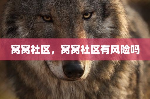 窝窝社区，窝窝社区有风险吗