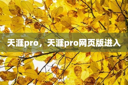 天涯pro，天涯pro网页版进入