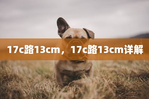 17c路13cm，17c路13cm详解