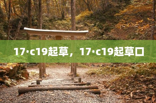 17·c19起草，17·c19起草口