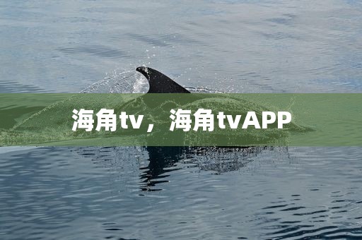 海角tv，海角tvAPP