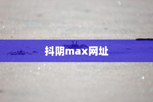 抖阴max网址