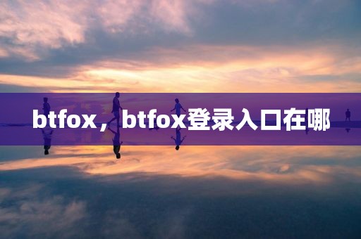 btfox，btfox登录入口在哪