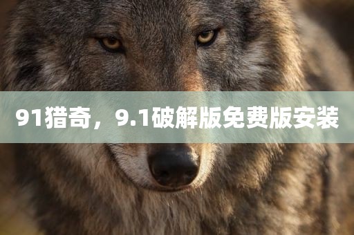 91猎奇，9.1破解版免费版安装