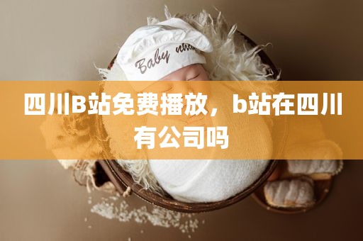 四川B站免费播放，b站在四川有公司吗