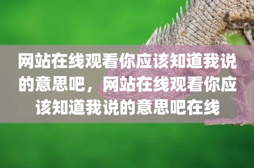 网站在线观看你应该知道我说的意思吧，网站在线观看你应该知道我说的意思吧在线