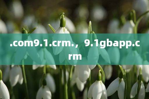 .com9.1.crm.，9.1gbapp.crm