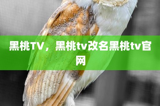 黑桃TV，黑桃tv改名黑桃tv官网