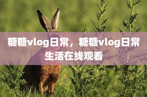 糖糖vlog日常，糖糖vlog日常生活在线观看