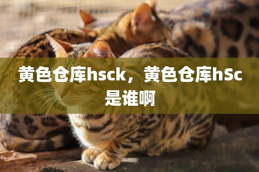 黄色仓库hsck，黄色仓库hSc是谁啊