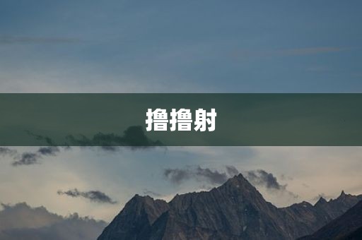 撸撸射