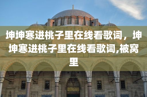 坤坤寒进桃子里在线看歌词，坤坤寒进桃子里在线看歌词,被窝里