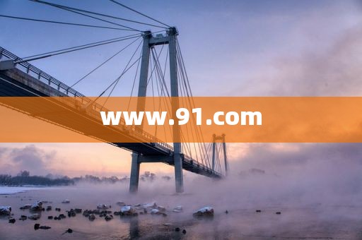 www.91.com