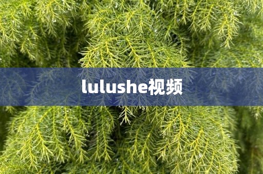 lulushe视频