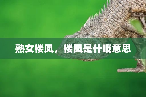 熟女楼凤，楼凤是什哦意思