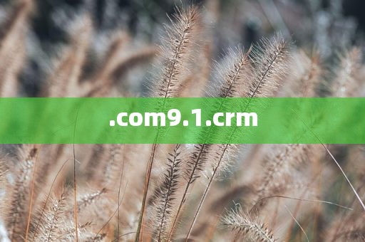 .com9.1.crm