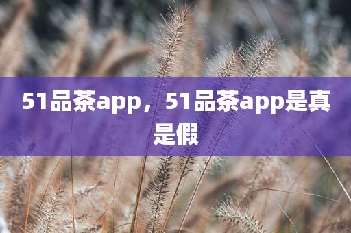 51品茶app，51品茶app是真是假