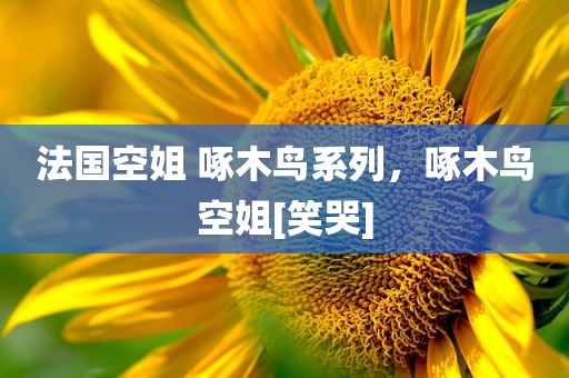 法国空姐 啄木鸟系列，啄木鸟空姐[笑哭]