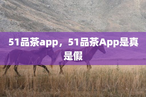 51品茶app，51品茶App是真是假