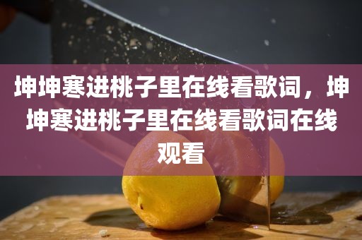 坤坤寒进桃子里在线看歌词，坤坤寒进桃子里在线看歌词在线观看