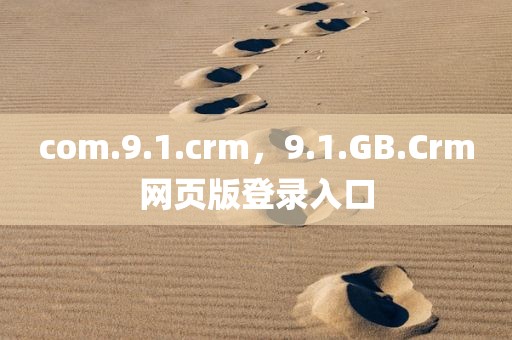 com.9.1.crm，9.1.GB.Crm网页版登录入口